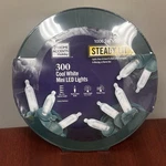 Home Accents 300 Count Warm White Super Bright Steady Lit Mini Led Lights 86 Ft.. Fixed Price $38.88.
