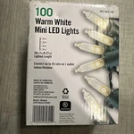 Home Accents 100 Led Warm White Mini Lights On Green Wire 20.5 Ft Lenght. Fixed Price $16.99.