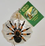 2019 Tarantula - Old World Christmas Blown Glass Ornament W/tag 26085. Fixed Price $15.99.