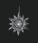 Kurt S. Adler Clear Acrylic Crystal Snowflake Christmas Tree Ornament Style. Fixed Price $8.88.