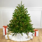 Northlight 4' Northern Pine Full Artificial Christmas Tree Clear Lights. Fixed Price $128.49.