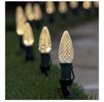 Wintergreen Lighting Opticore Led C7 Warm White Pathway Holiday Lights 100 Bulbs. Fixed Price $97.50.