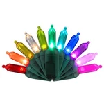 Celebrations Platinum Led T5 Multicolored 50 Ct String Christmas Lights 25 Ft.. Fixed Price $27.86.
