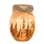 Stony Creek Forest Pre-lit Small Jar Lighted Glass Accent Winter Christmas. Fixed Price $28.99.