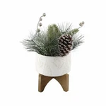 Flora Bunda Christimas Arrangement In 5" Scandi Tree Ceramic Pot On Wood Stand. Fixed Price $49.99.
