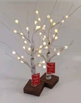Martha Stewart Light Up White Birch Tree Led Winter Wonderland Christmas, 24". Fixed Price $60.00.