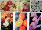 Tempered Glass Cutting Board Kitchen Art Counter Saver Choose Your Pattern. Fixed Price $16.98.