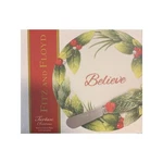 Fitz & Floyd Tartan Christmas Believe Snack Plate With Spreader. Fixed Price $30.49.