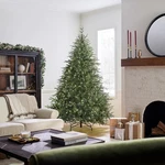 7.5 Ft. Pre-lit National Tree Company Feel Real Frasier Grande Christmas. Fixed Price $329.00.