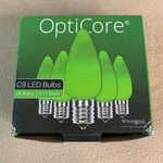 Wintergreen Christmas Lights Opticore C9 Led Opaque Bulbs Pack Of 25 Euc. Fixed Price $20.00.