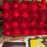 Vintage Celebrations Christmas Poinsettia Lights (20) Indoor/outdoor New Box. Fixed Price $19.88.