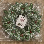 Raz Imports Glittery Green Silver Red Holly Wreath Ornament Christmas Winter 5. Fixed Price $13.50.
