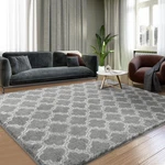 Fluffy 8X10 Area Rugs For Living Room, Non-slip Indoor Carpet, Light Grey/white. Fixed Price $61.38.