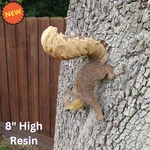 Lifelike Climbing Squirrel Statue Tree Hanging Woodland Animal Garden Yard Decor. Fixed Price $43.88.