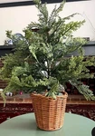 My Texas House 2 Ft Pre-lit Cypress Pot Artificial Christmas Tree Foot New. Fixed Price $49.99.