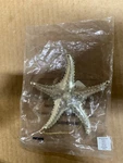 Holiday Lane Seaside Plastic Starfish Ornament Charm New With Tag. Fixed Price $7.99.