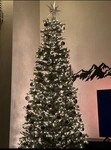 Puleo International 10FT Pre-lit Slim Fraser Christmas Tree 900 Lights Metal. Fixed Price $140.00.