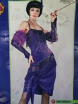 Rubies Fabulous Flapper 1920S Costume Fringe Dress Feather Headband Glovelets. Fixed Price $14.99.