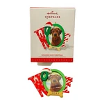 Hallmark Keepsake Ornament Doggone Good Christmas Woof 2015 Puppy. Fixed Price $10.00.