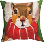 Woodland Squirrel Christmas Holiday Indoor Outdoor 18IN Throw Pillow Climaweave. Fixed Price $29.99.