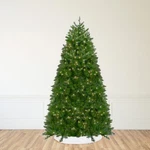Northlight 14' Pre-lit Northern Pine Full Artificial Christmas Tree Clear Lights. Fixed Price $1368.49.