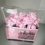 Seasonal Rose Led String Set 30 Pink 12.5FT Warm White Indoor. Fixed Price $9.53.