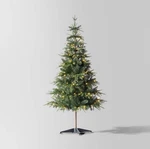 5' 1/2 Pre-lit Potted Slim Balsam Artificial Christmas Tree Wondershop. Fixed Price $175.00.