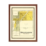 Old Map Of Bellflower, 1914 - Vintage Illinois. Fixed Price $89.99.
