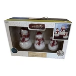 Christmas Snowman Led Set 3 Pc Built-in 4-HOUR Timer Apothecary New. Fixed Price $25.00.