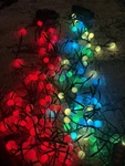 Lot Of 2 Star Shower Tree Dazzler Led Christmas Holiday Lights Seen On Tv. Fixed Price $55.80.