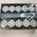 Holiday Time 10 Snowflake Led Dancing Lights Green Wire Battery Operated Indoor. Fixed Price $14.99.