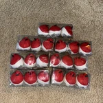 Ikea Vinterfint Bird Ornaments Red Black Felt Christmas Decor Nib Set Of 21. Fixed Price $24.99.