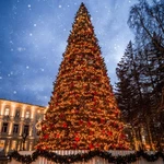 Northlight 30' Pre-lit Olympia Pine Artificial Giant Commercial Tower Christmas. Fixed Price $38010.49.