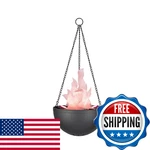 Aspen Creative 61168-25-1,LED Hanging Fire Flame Light Prop For Halloween,christ. Fixed Price $39.84.