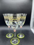 Tracy Porter Artist Hand Painted Tulip Wine Water Glasses Dragon Fly Set Of 3. Fixed Price $19.00.