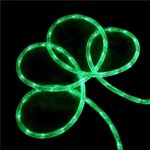 Sienna 102' Green Indoor/outdoor Christmas Rope Lights. Fixed Price $90.49.