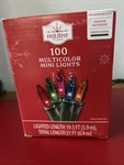 Holiday Time 100 Multicolor Mini Lncandescent Christmas Lights Indoor Outdoor. Fixed Price $5.00.