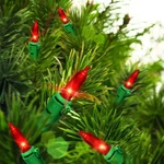 Holiday Time 100 Counts Red Led Mini Lights Green Wire 21 Ft Long. Fixed Price $19.91.