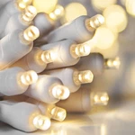 25 Ft Led Twinkle Christmas Twinkling Xmass Holiday String Lighting. Fixed Price $16.99.