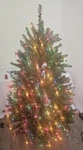 National Tree Dunhill Fir Pre-lit With 450 Multicolor Lights , 4.5 Feet. Fixed Price $109.00.