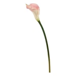 Vickerman 26'' Fabric Artificial Calla Lily Stem Pink (set Of 6). Fixed Price $127.09.