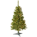 National Tree Company 4 Ft Pre-lit Grande Canadian Fir Mini Artificial Christ.... Fixed Price $97.35.