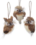 Kurt Adler 4IN Brown Hanging Owl Christmas Ornaments Set Of 3 Assorted. Fixed Price $20.29.