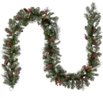 National Tree Company Crestwood Spruce 9-FOOT Pre-lit Garland CW7-306-9A-1. Fixed Price $52.00.