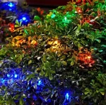 Home Accents Holiday 150 Multi-colored Mini Led Net Christmas/party Lights. Fixed Price $22.49.