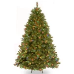 National Tree Company 7.5 Pre-lit Winchester Pine 7FT 6IN, Green. Fixed Price $160.77.