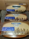 Enchanted Forest Indoor/outdoor 50 Blue Mini Christmas Lights: Brand NEW!1999. Fixed Price $39.99.