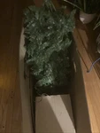 Holiday Time 7-FOOT Pre-lit Brinkley Pine Artificial Christmas Tree (read Desc). Fixed Price $54.00.