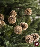 Balsam Hill Taupe Winter Pinecone Tree Picks-set Of 12. Fixed Price $49.99.