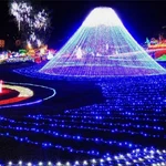 100-800 Twinkle Christmas Lights Led Fairy String Lamp Indoor Outdoor Home Decor. Fixed Price $45.99.